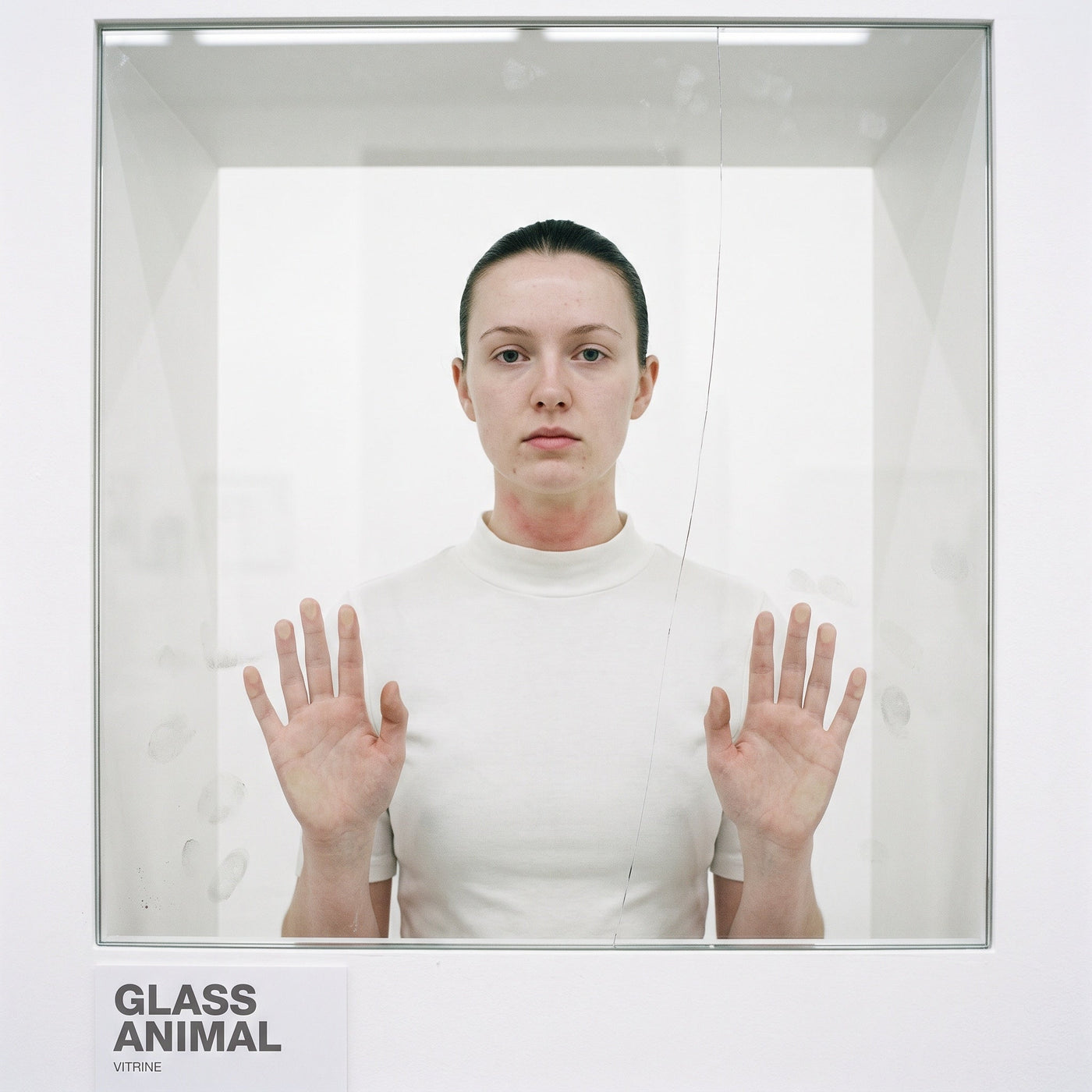 VITRINE — Glass Animal single cover