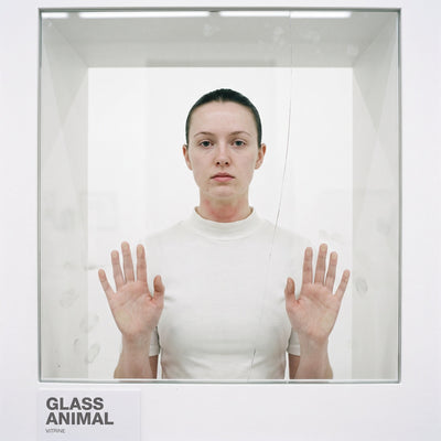 VITRINE — Glass Animal single cover